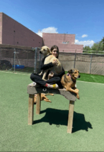 A young woman sitting cross-legged on a wooden platform in an outdoor play area, hugging one dog while another dog sits calmly beside her.