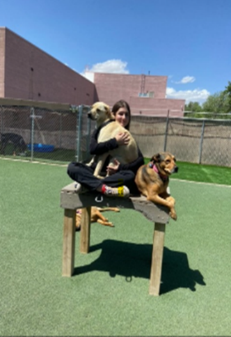 A young woman sitting cross-legged on a wooden platform in an outdoor play area, hugging one dog while another dog sits calmly beside her.