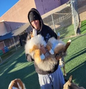 A young man wearing a beenie and a black hoodie, holding a dog in his arms, standing outside in front of a dog kennel